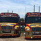 La Esperanza Bus Line (Booking Chinchorreo y giras escolares o general)